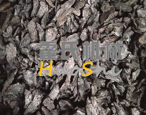 蒸女貞子、黃精體驗(yàn)